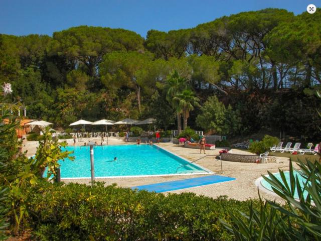 Appartamento vacanze Isola d'Elba